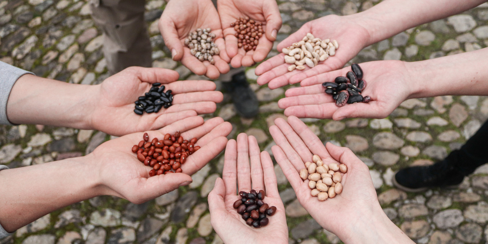 [Translate to Französisch:] Viele Hände mit Saatgut einen Kreis bildend