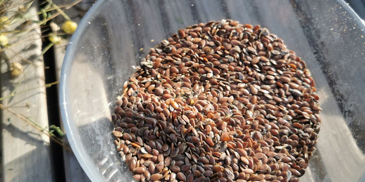 Graines de lin dans un bol en verre sur une table en bois