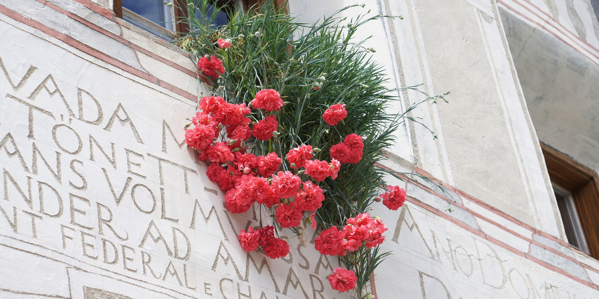 Œillets à fleurs rouges suspendus à la corniche d'une maison engadinoise