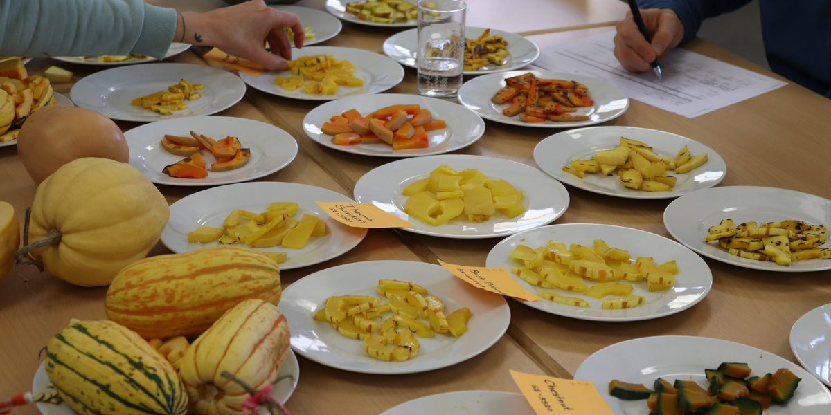 Assiette avec des citrouilles sur la table